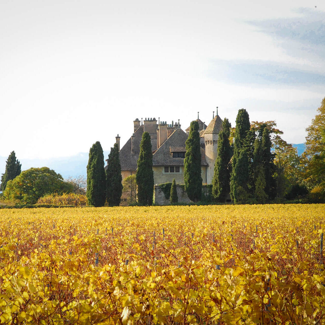 Gastronomie Thonon les bains